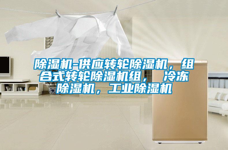 除濕機-供應轉輪除濕機，組合式轉輪除濕機組， 冷凍除濕機，工業除濕機