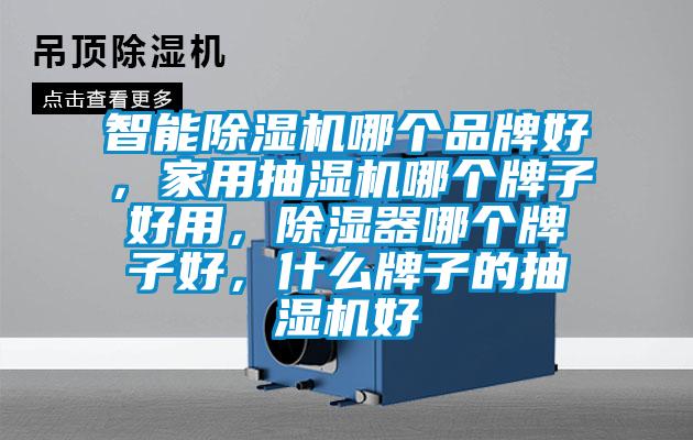 智能除濕機哪個品牌好，家用抽濕機哪個牌子好用，除濕器哪個牌子好，什么牌子的抽濕機好
