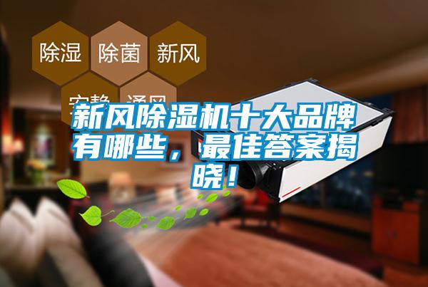 新風除濕機十大品牌有哪些，最佳答案揭曉！