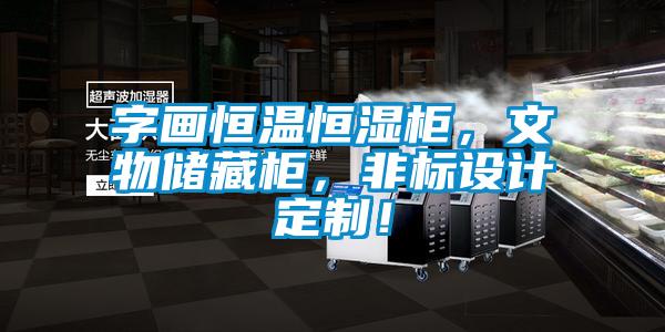 字畫恒溫恒濕柜，文物儲藏柜，非標設計定制！