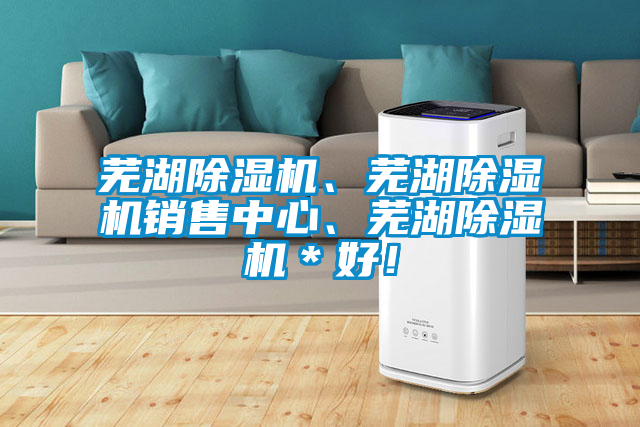 蕪湖除濕機、蕪湖除濕機銷售中心、蕪湖除濕機＊好！