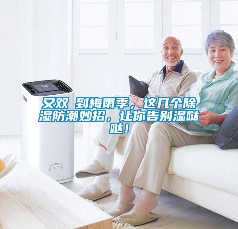 又雙叒到梅雨季，這幾個除濕防潮妙招，讓你告別濕噠噠！