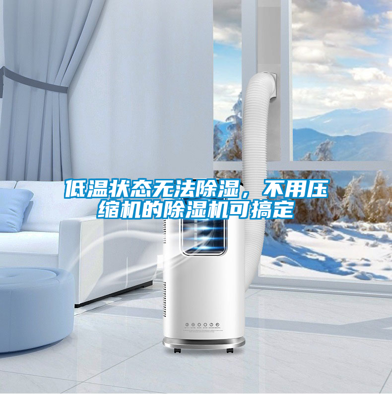 低溫狀態無法除濕，不用壓縮機的除濕機可搞定