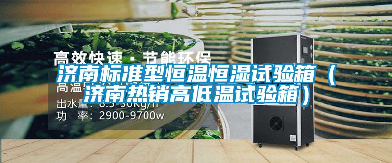 濟(jì)南標(biāo)準(zhǔn)型恒溫恒濕試驗箱（濟(jì)南熱銷高低溫試驗箱）