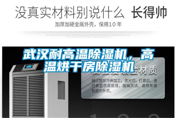 武漢耐高溫除濕機(jī)，高溫烘干房除濕機(jī)
