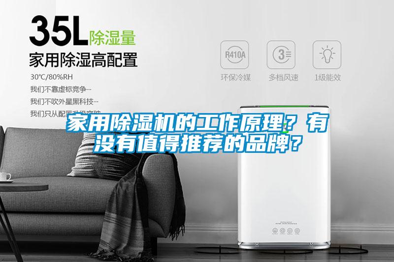 家用除濕機(jī)的工作原理？有沒有值得推薦的品牌？