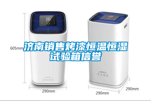 濟(jì)南銷(xiāo)售烤漆恒溫恒濕試驗(yàn)箱信譽(yù)