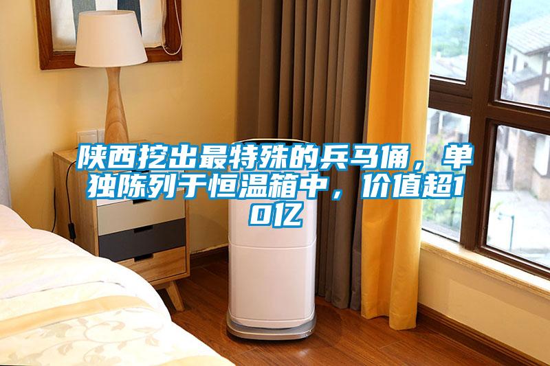 陜西挖出最特殊的兵馬俑，單獨(dú)陳列于恒溫箱中，價(jià)值超10億