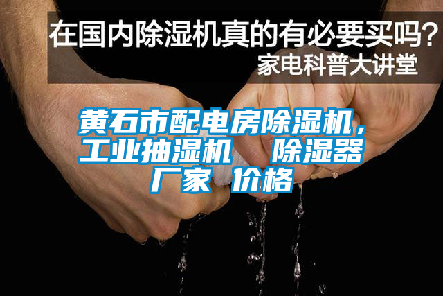 黃石市配電房除濕機，工業抽濕機  除濕器廠家 價格