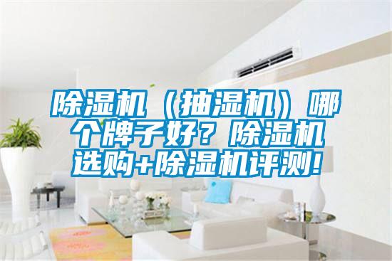 除濕機（抽濕機）哪個牌子好？除濕機選購+除濕機評測!