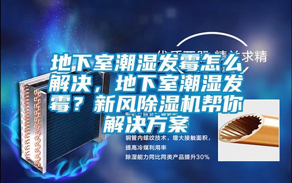 地下室潮濕發霉怎么解決，地下室潮濕發霉？新風除濕機幫你解決方案