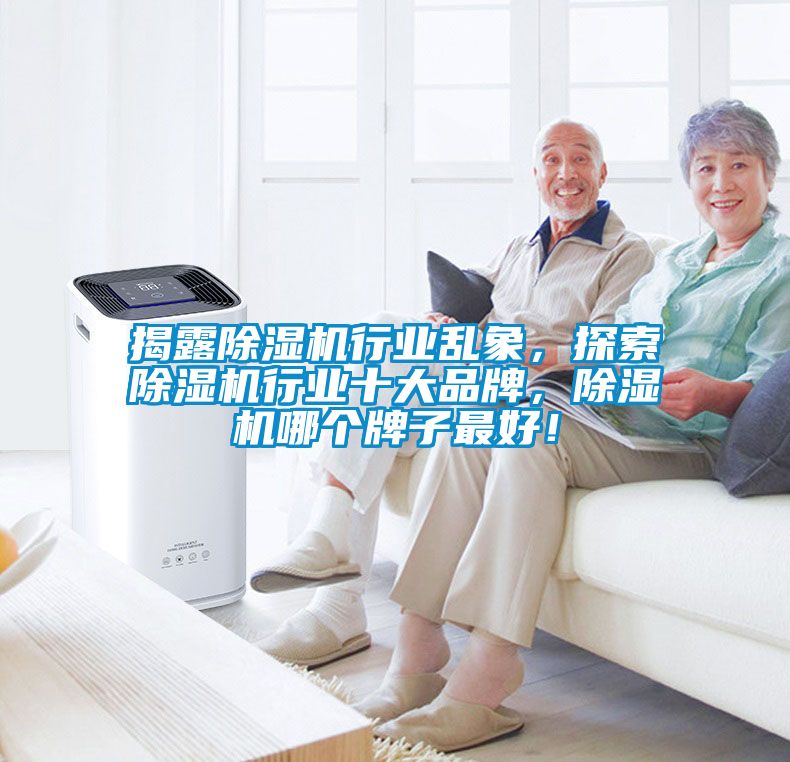 揭露除濕機行業亂象，探索除濕機行業十大品牌，除濕機哪個牌子最好！