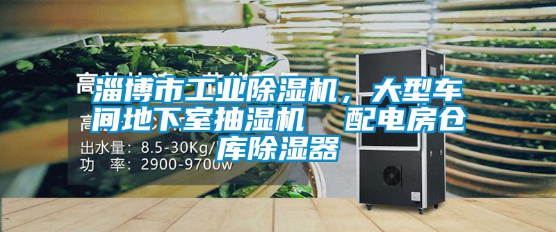 淄博市工業除濕機，大型車間地下室抽濕機  配電房倉庫除濕器