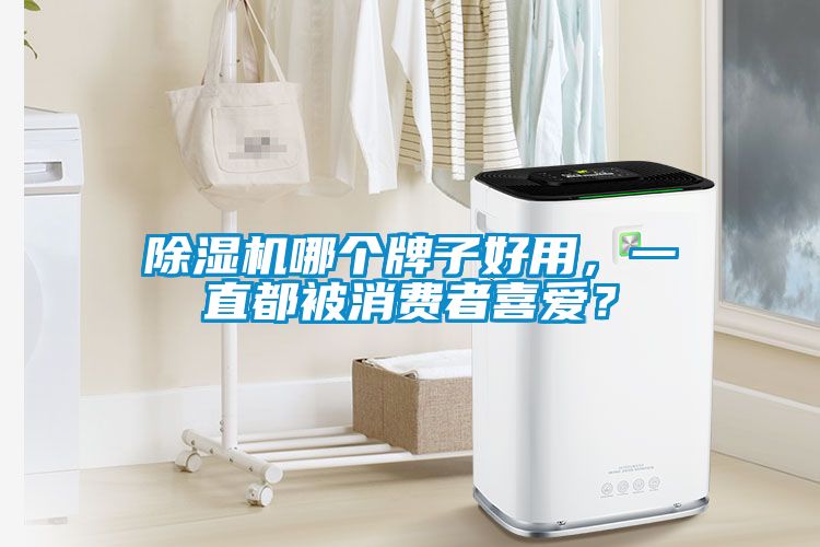 除濕機哪個牌子好用，一直都被消費者喜愛？