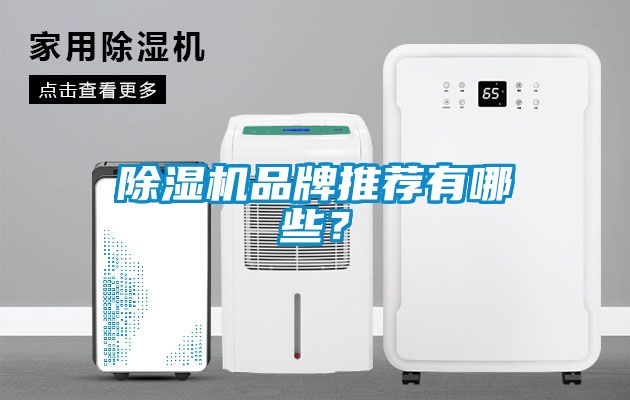 除濕機品牌推薦有哪些？