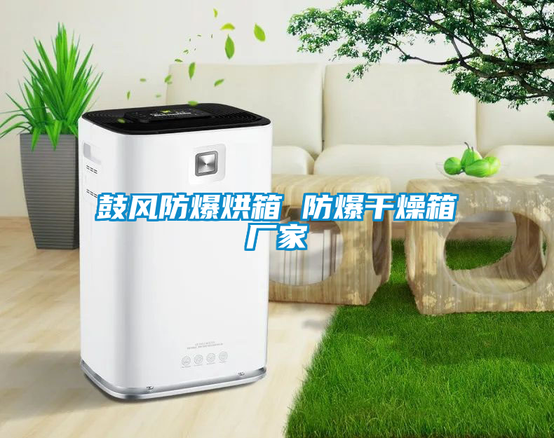 鼓風(fēng)防爆烘箱 防爆干燥箱廠(chǎng)家