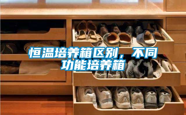 恒溫培養箱區別，不同功能培養箱