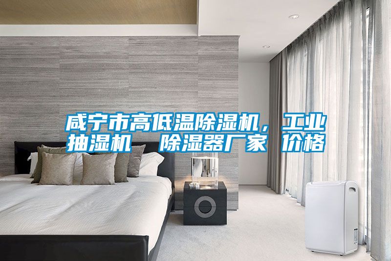 咸寧市高低溫除濕機(jī)，工業(yè)抽濕機(jī)  除濕器廠家 價(jià)格
