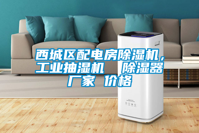 西城區(qū)配電房除濕機(jī)，工業(yè)抽濕機(jī)  除濕器廠家 價(jià)格