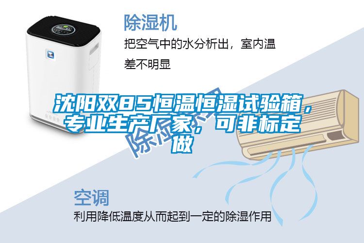 沈陽(yáng)雙85恒溫恒濕試驗(yàn)箱，專業(yè)生產(chǎn)廠家，可非標(biāo)定做