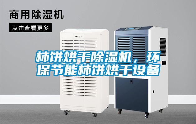柿餅烘干除濕機，環保節能柿餅烘干設備