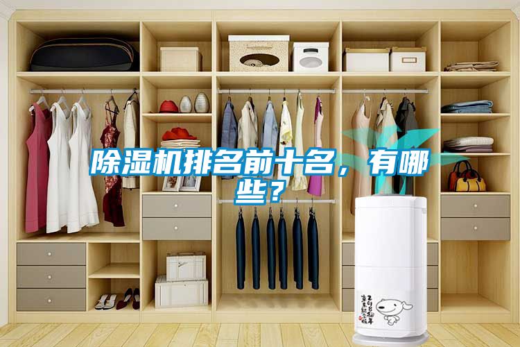 除濕機排名前十名，有哪些？