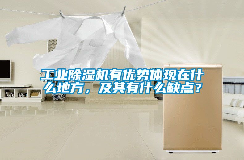 工業(yè)除濕機有優(yōu)勢體現(xiàn)在什么地方，及其有什么缺點？
