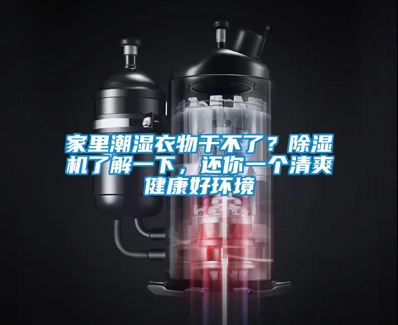 家里潮濕衣物干不了？除濕機了解一下，還你一個清爽健康好環境