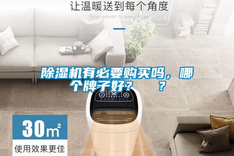 除濕機有必要購買嗎，哪個牌子好？  ？
