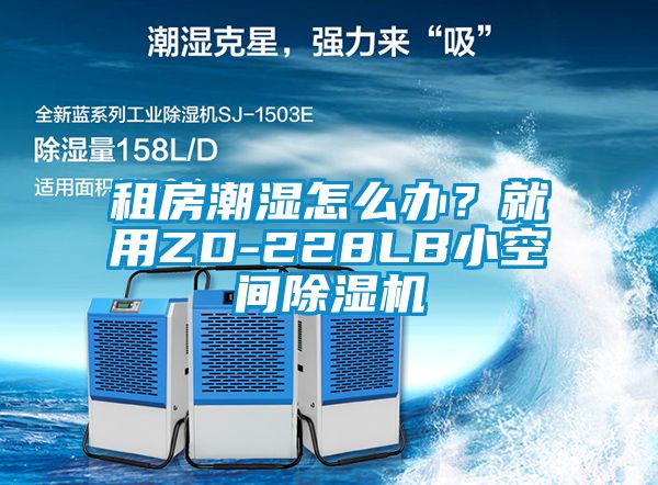 租房潮濕怎么辦？就用ZD-228LB小空間除濕機