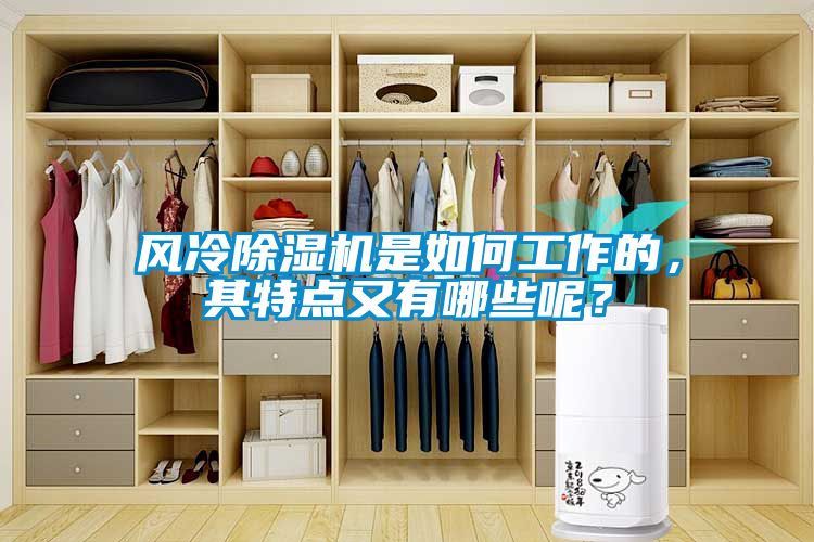 風(fēng)冷除濕機(jī)是如何工作的，其特點(diǎn)又有哪些呢？