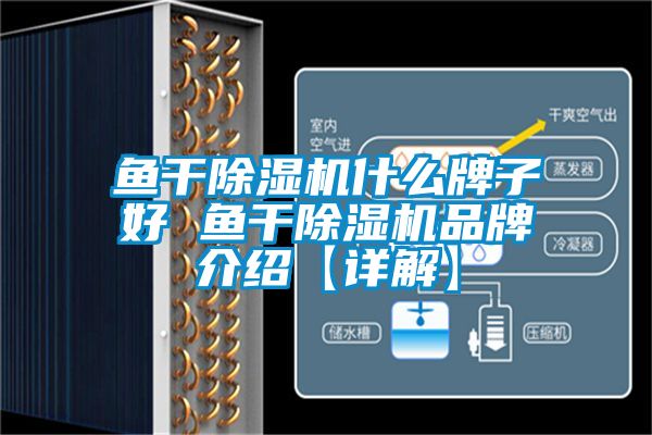 魚(yú)干除濕機(jī)什么牌子好 魚(yú)干除濕機(jī)品牌介紹【詳解】