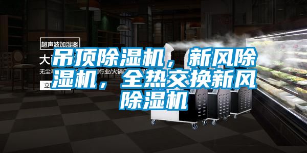 吊頂除濕機，新風除濕機，全熱交換新風除濕機