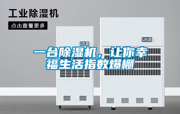 一臺(tái)除濕機(jī)，讓你幸福生活指數(shù)爆棚