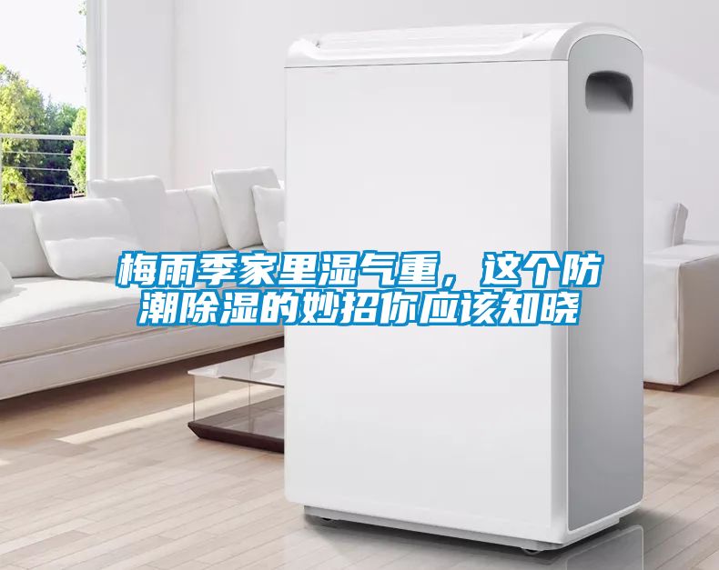 梅雨季家里濕氣重，這個防潮除濕的妙招你應該知曉