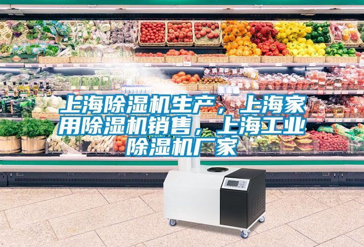 上海除濕機(jī)生產(chǎn)，上海家用除濕機(jī)銷售，上海工業(yè)除濕機(jī)廠家