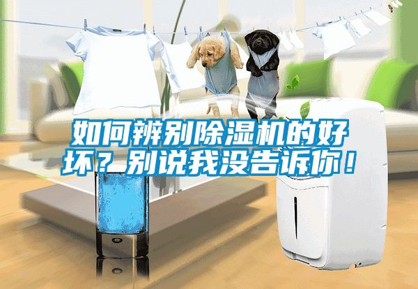 如何辨別除濕機的好壞？別說我沒告訴你！