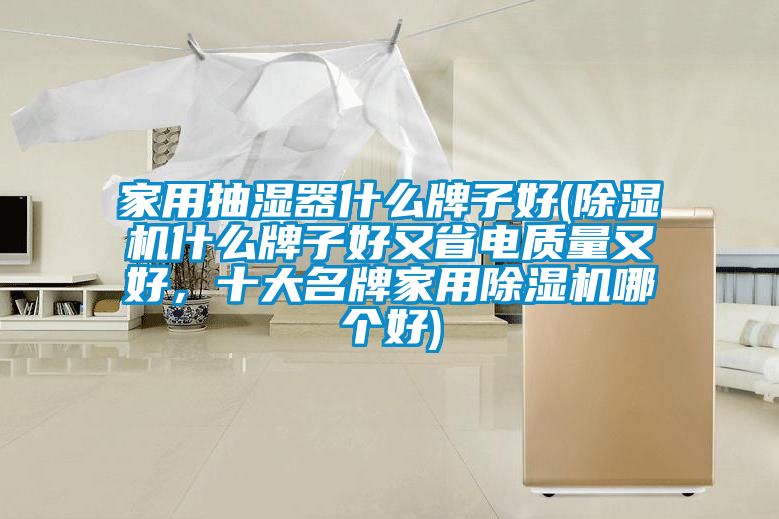 家用抽濕器什么牌子好(除濕機什么牌子好又省電質量又好，十大名牌家用除濕機哪個好)