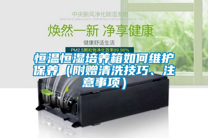 恒溫恒濕培養箱如何維護保養（附贈清洗技巧、注意事項）