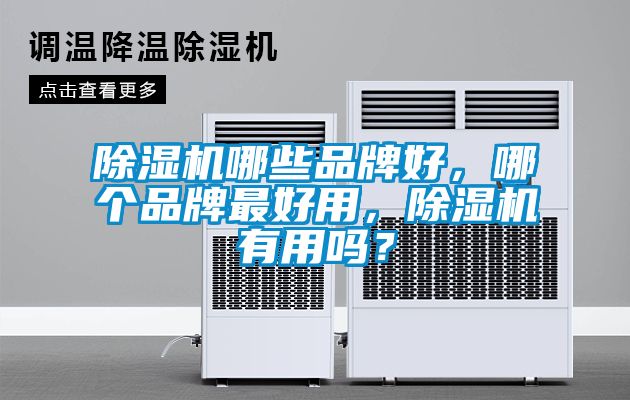 除濕機(jī)哪些品牌好，哪個(gè)品牌最好用，除濕機(jī)有用嗎？
