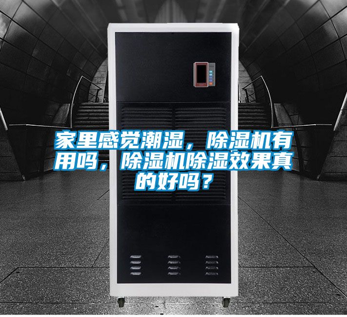 家里感覺潮濕，除濕機有用嗎，除濕機除濕效果真的好嗎？