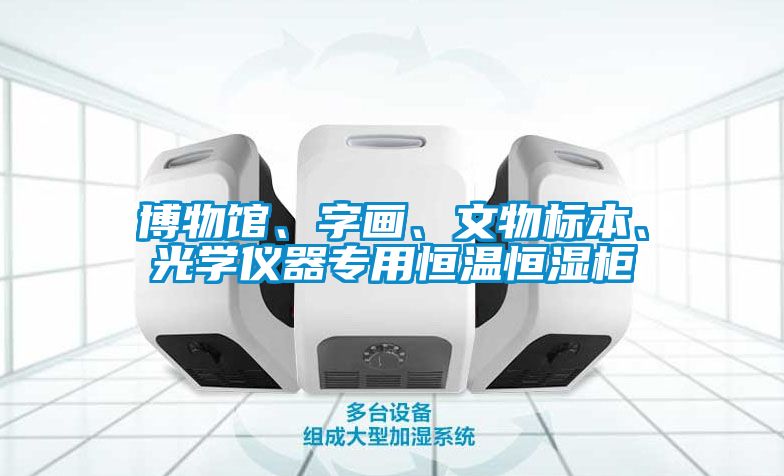 博物館、字畫、文物標本、光學儀器專用恒溫恒濕柜