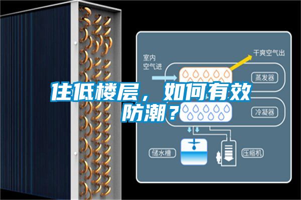 住低樓層，如何有效防潮？