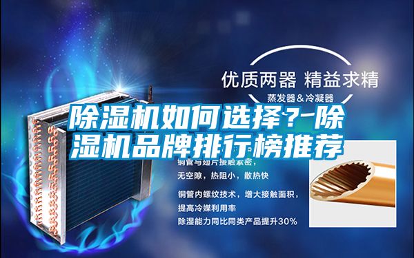 除濕機如何選擇？除濕機品牌排行榜推薦