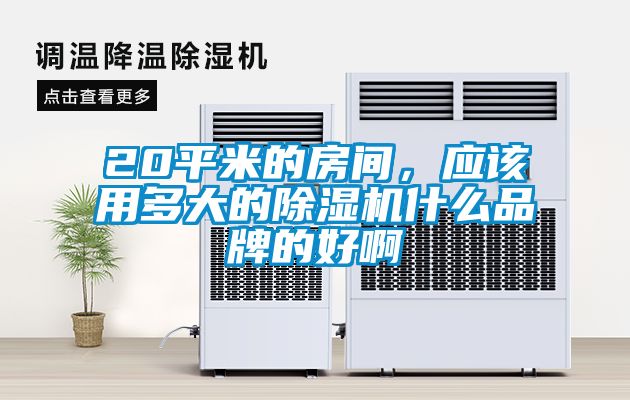 20平米的房間，應該用多大的除濕機什么品牌的好啊