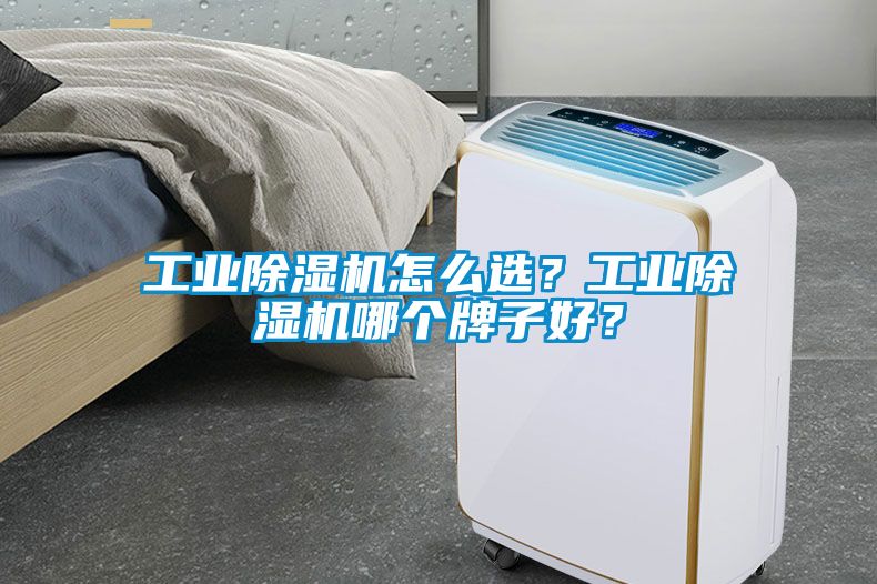 工業(yè)除濕機(jī)怎么選？工業(yè)除濕機(jī)哪個(gè)牌子好？