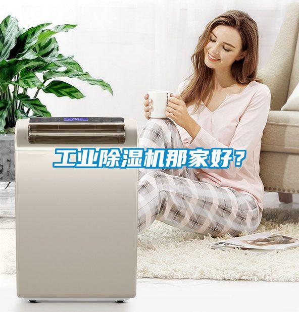 工業(yè)除濕機(jī)那家好？