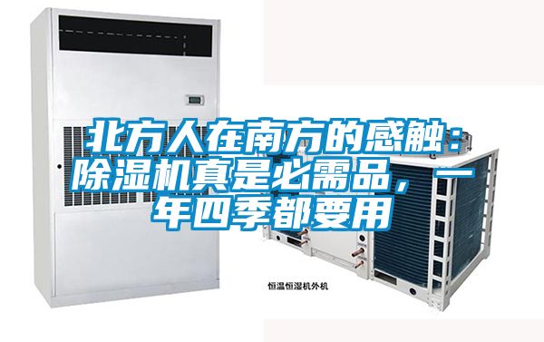 北方人在南方的感觸：除濕機真是必需品，一年四季都要用