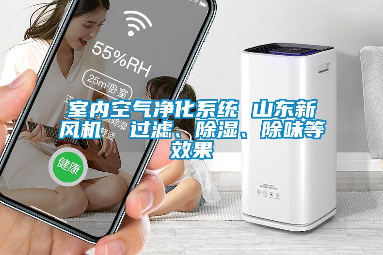 室內空氣凈化系統 山東新風機  過濾、除濕、除味等效果