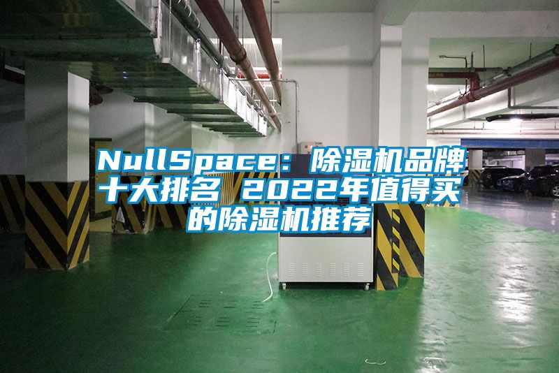 NullSpace：除濕機(jī)品牌十大排名 2022年值得買(mǎi)的除濕機(jī)推薦